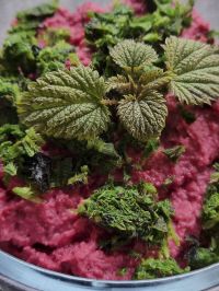 Foto Rote-Beete-Hummus mit Brennnesselspitzen